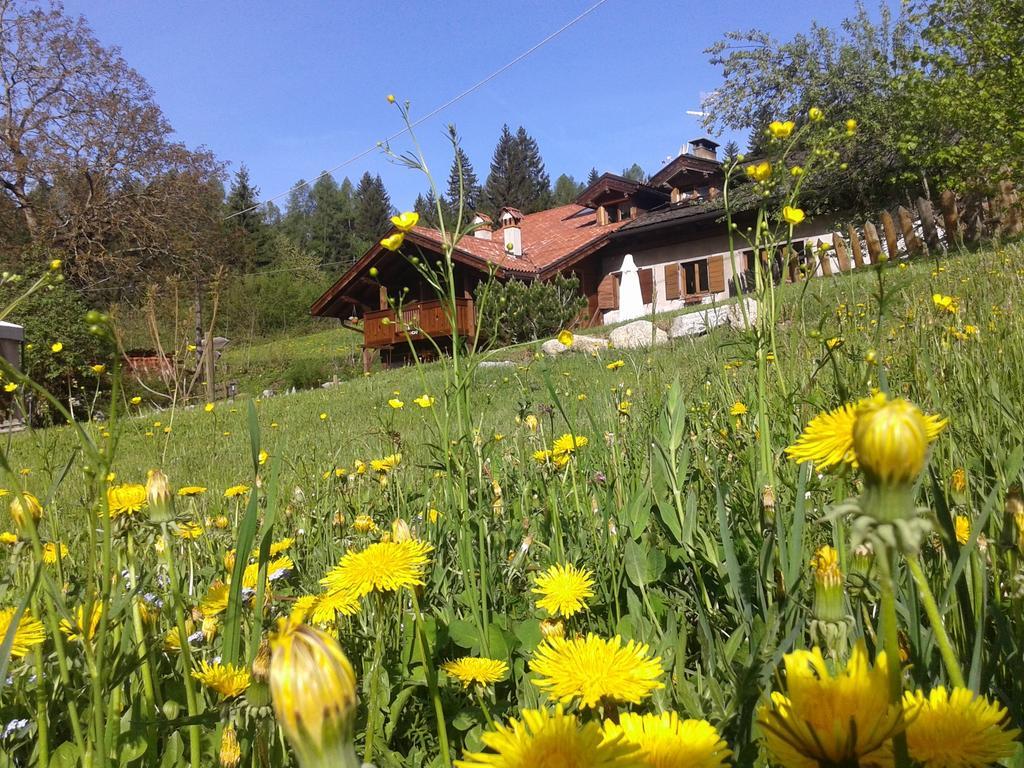 Bed and Breakfast Maso Pin Madonna Exterior foto