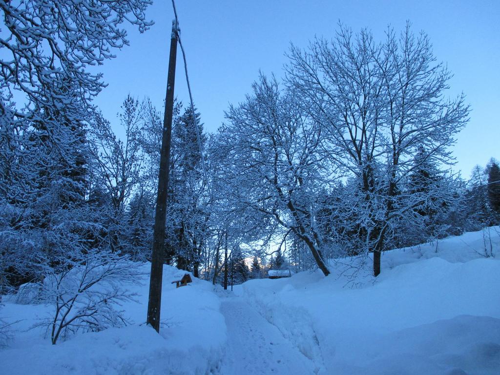 Bed and Breakfast Maso Pin Madonna Exterior foto